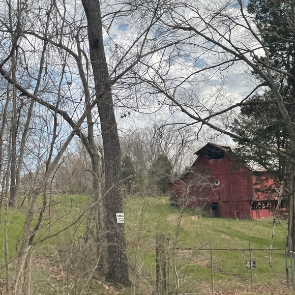 🌟Posh Ambassador🌟Jen - Picture 4 of 6